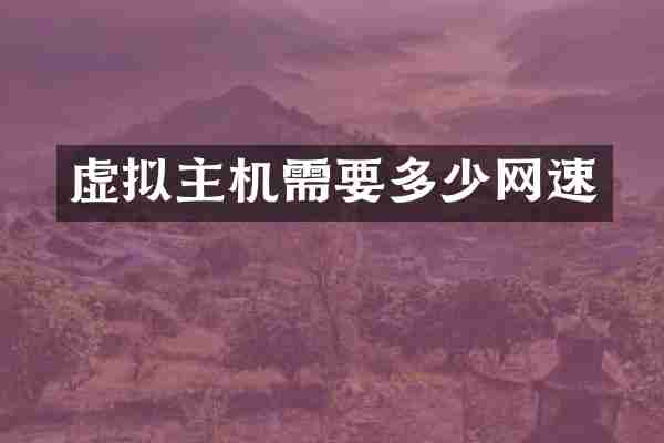 虚拟主机需要多少网速