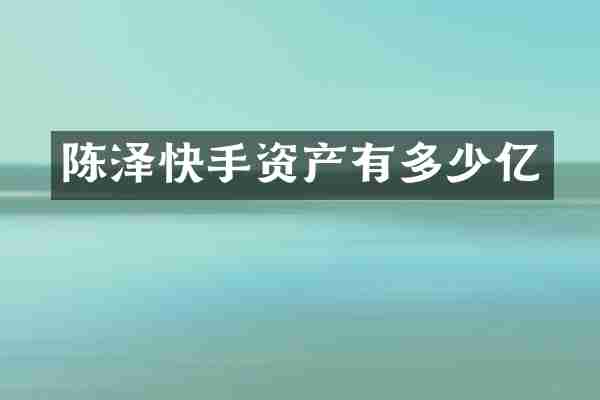 陈泽快手资产有多少亿