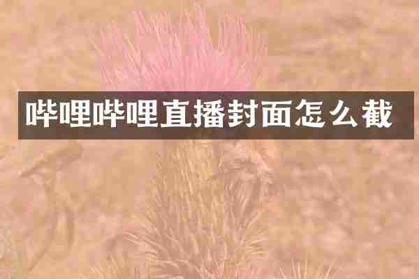 哔哩哔哩直播封面怎么截