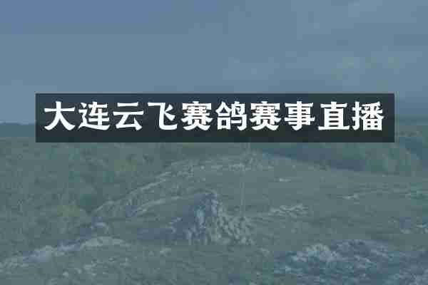 大连云飞赛鸽赛事直播