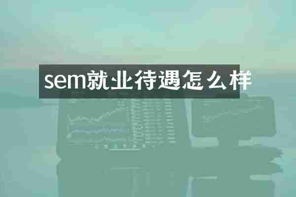 sem就业待遇怎么样