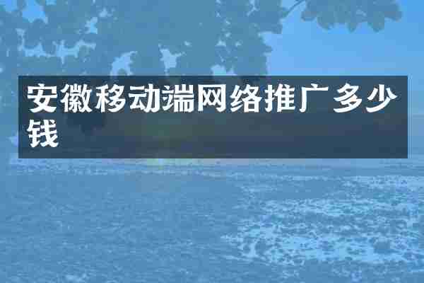 安徽移动端网络推广多少钱