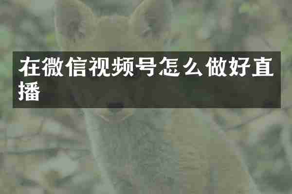 在微信视频号怎么做好直播