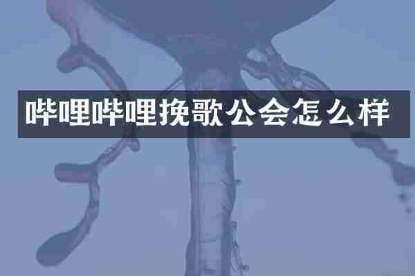哔哩哔哩挽歌公会怎么样