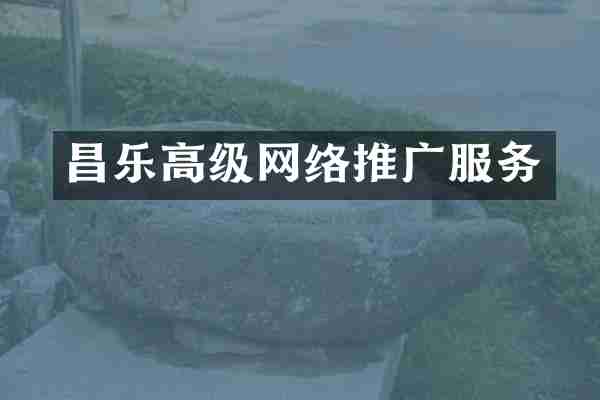 昌乐高级网络推广服务