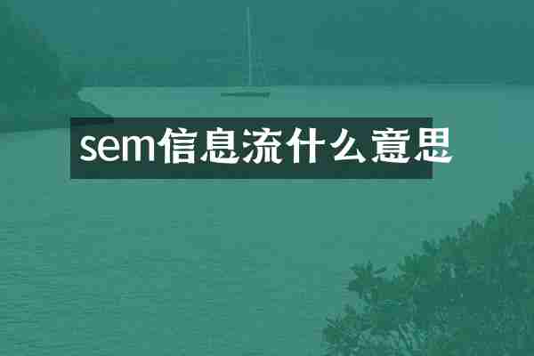 sem信息流什么意思
