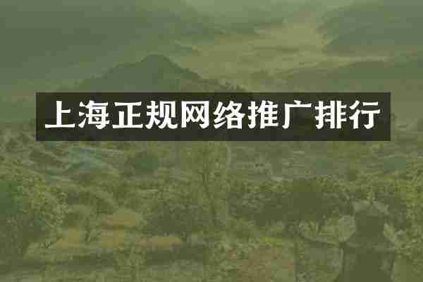 上海正规网络推广排行