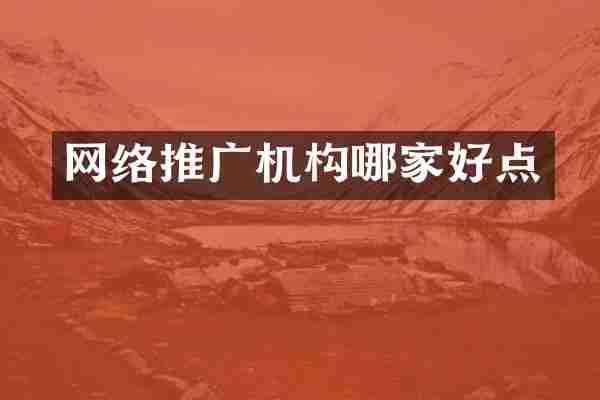 网络推广机构哪家好点