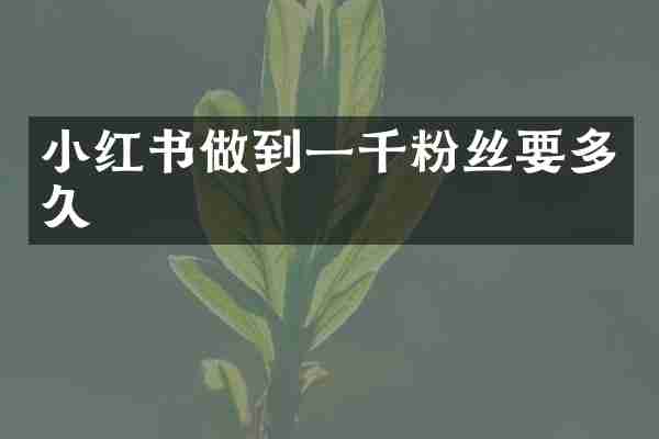 小红书做到一千粉丝要多久