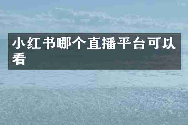 小红书哪个直播平台可以看
