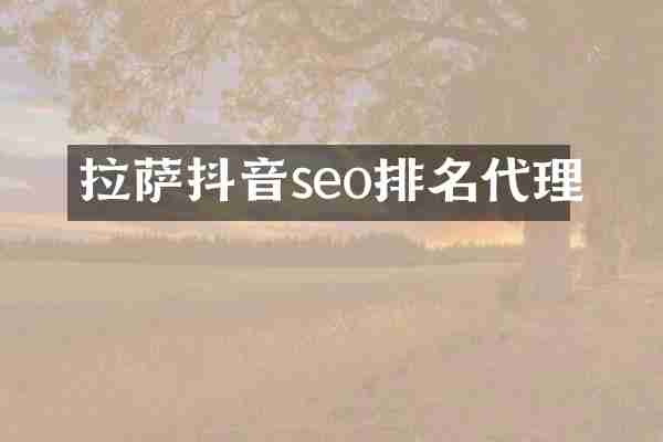 拉萨抖音seo排名代理