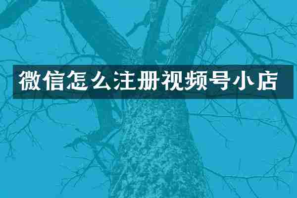 微信怎么注册视频号小店