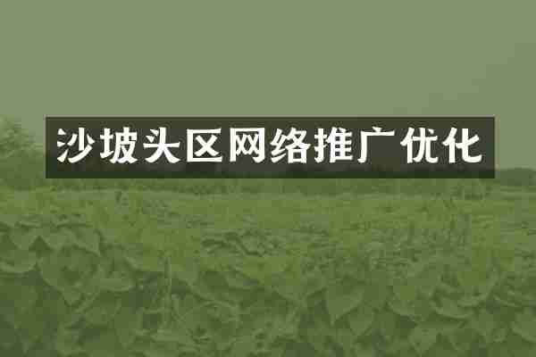 沙坡头区网络推广优化