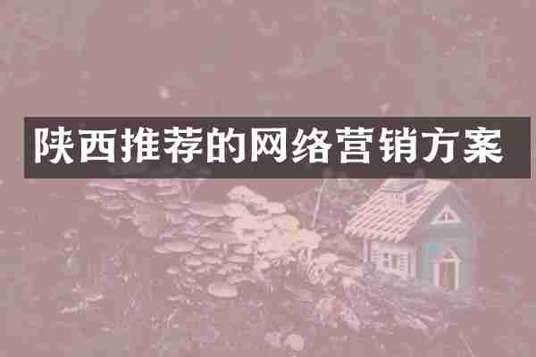 陕西推荐的网络营销方案