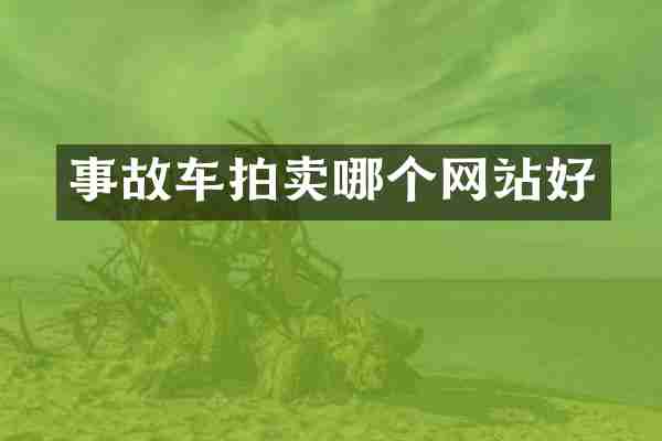 事故车拍卖哪个网站好