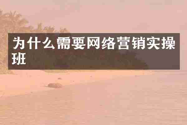 为什么需要网络营销实操班