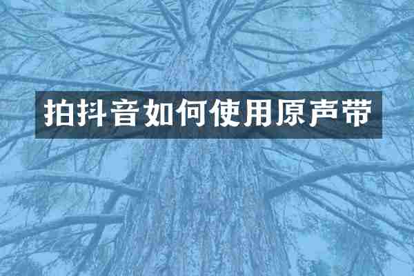 拍抖音如何使用原声带