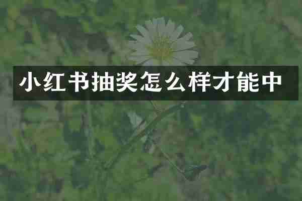 小红书抽奖怎么样才能中