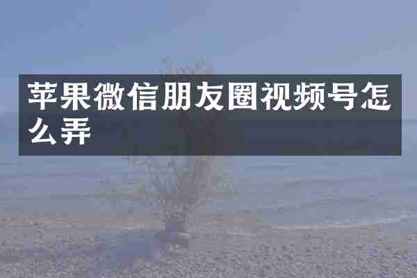 苹果微信朋友圈视频号怎么弄