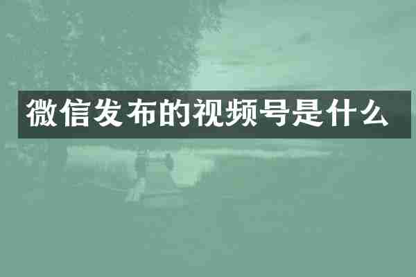 微信发布的视频号是什么