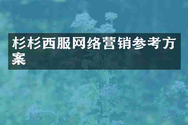 杉杉西服网络营销参考方案