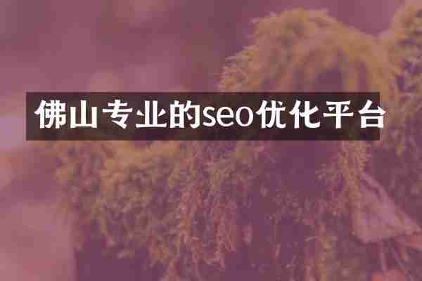 佛山专业的seo优化平台