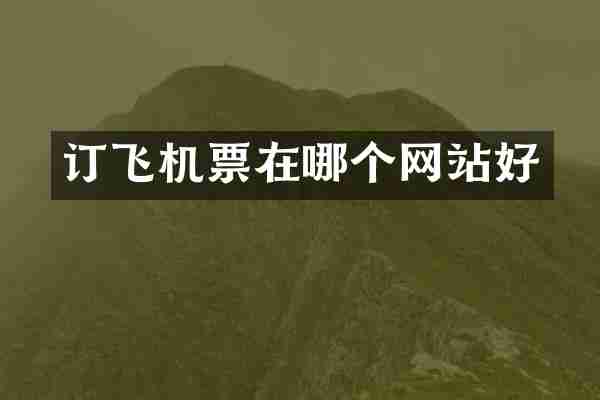 订飞机票在哪个网站好