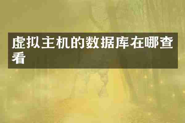 虚拟主机的数据库在哪查看