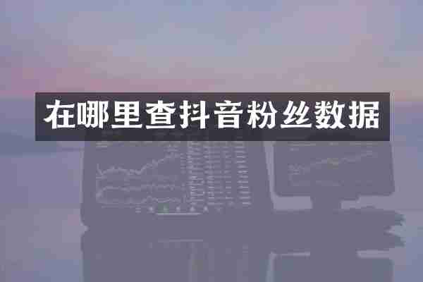 在哪里查抖音粉丝数据