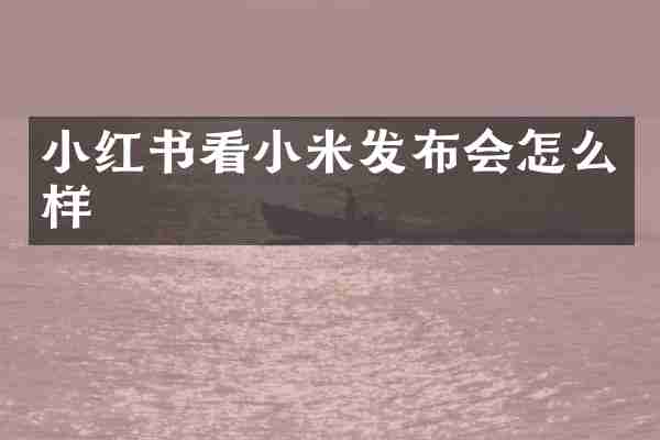 小红书看小米发布会怎么样