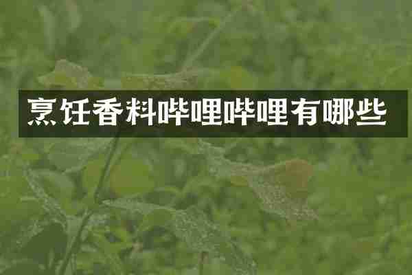 烹饪香料哔哩哔哩有哪些