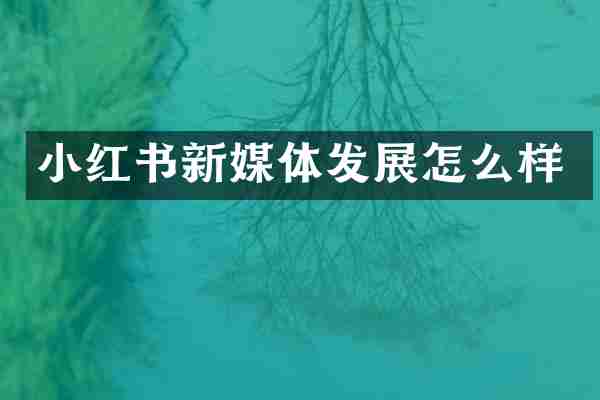小红书新媒体发展怎么样