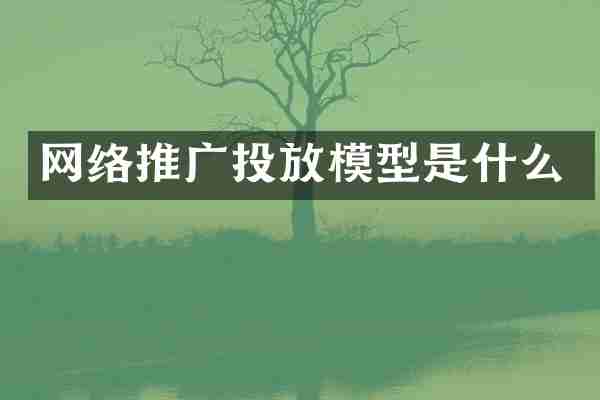 网络推广投放模型是什么