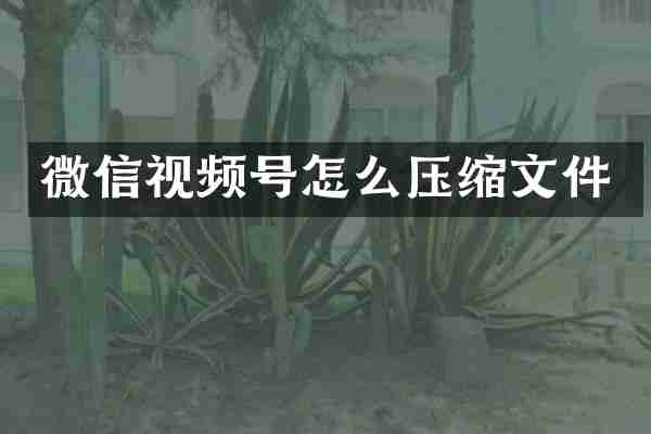 微信视频号怎么压缩文件