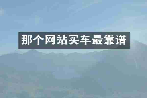 那个网站买车最靠谱