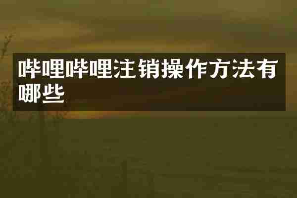 哔哩哔哩注销操作方法有哪些