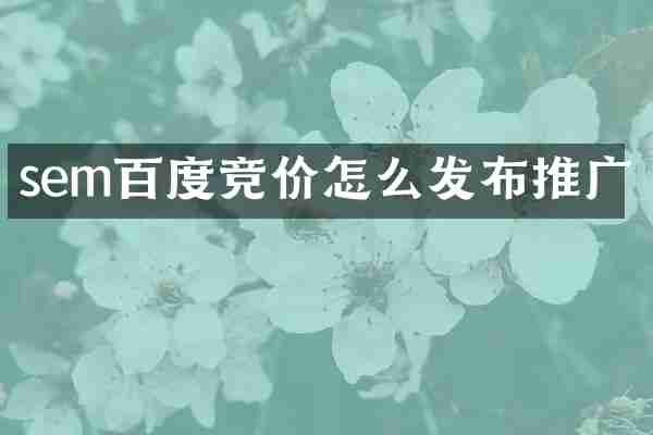 sem百度竞价怎么发布推广