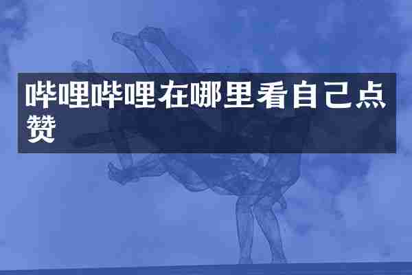 哔哩哔哩在哪里看自己点赞