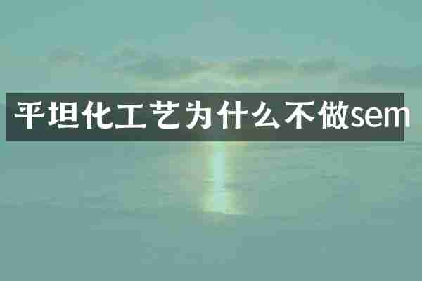 平坦化工艺为什么不做sem