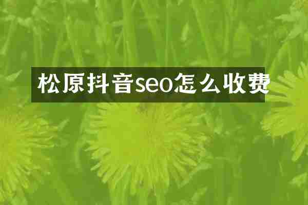 松原抖音seo怎么收费