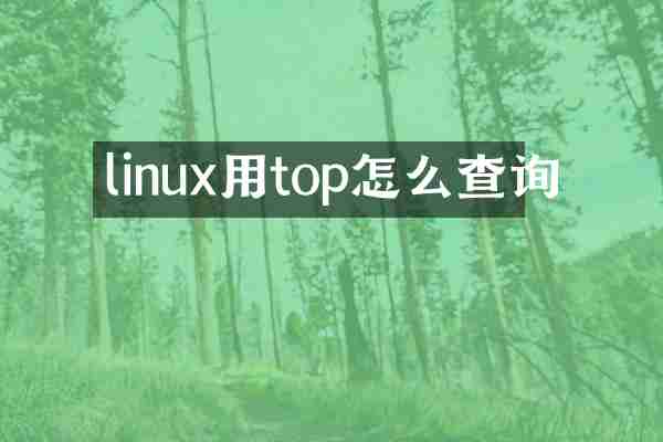 linux用top怎么查询