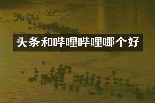 头条和哔哩哔哩哪个好