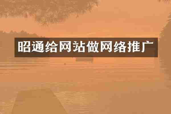 昭通给网站做网络推广