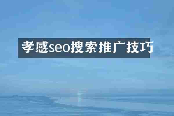 孝感seo搜索推广技巧