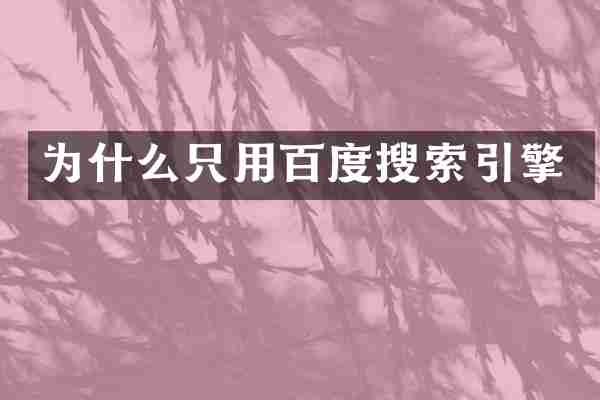 为什么只用百度搜索引擎