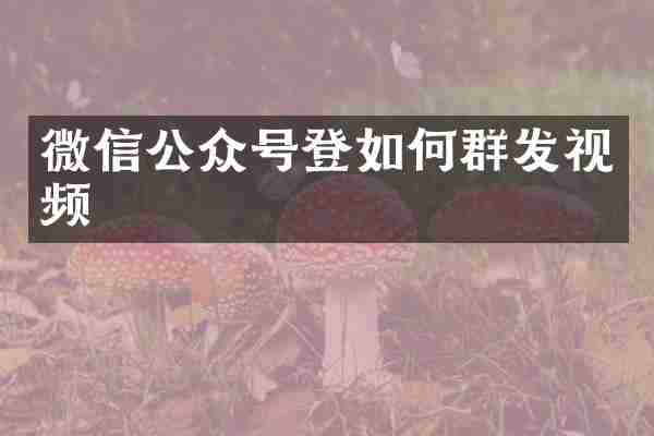 微信公众号登如何群发视频