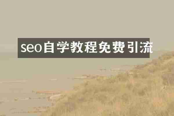 seo自学教程免费引流