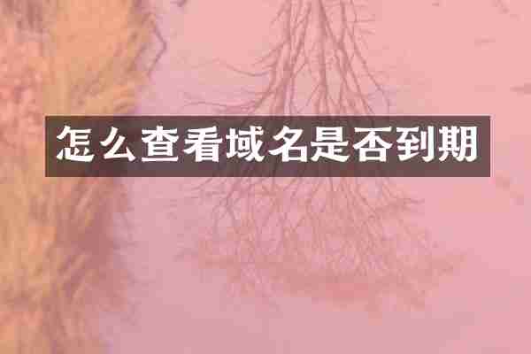 怎么查看域名是否到期