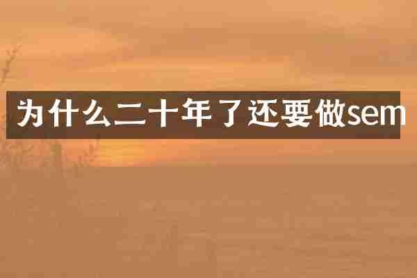 为什么二十年了还要做sem