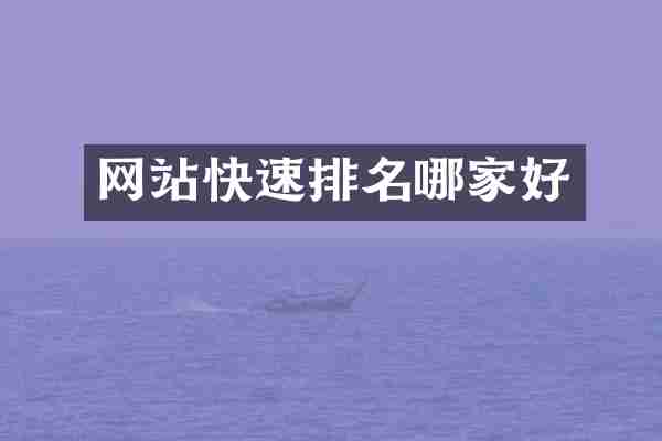 网站快速排名哪家好